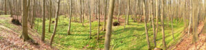 Warburg Kalesi, Niedersachsen