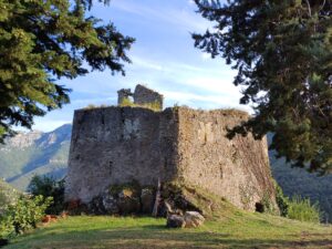 conti Cepollini Kalesi, Nasino