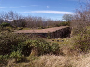 Poggio Grande Hisarı