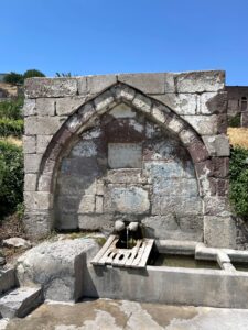Paşa Pınarı Çeşmesi, Molu