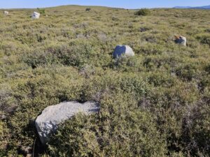 Seferihisar Veba Mezarlığı