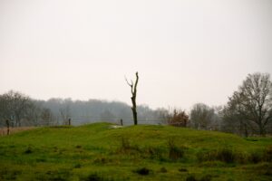 Marienkamp Manastırı, Esens