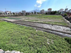 Büyük Bahçe, Kayseri