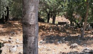 Alanya Kalesi Bedesten Mevkii Mezarlığı