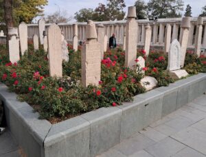 Hamuşan Mezarlığı, Konya