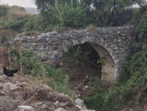Düziçi Su Kemeri