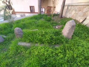 Ahi Şerafettin Türbesi Haziresi