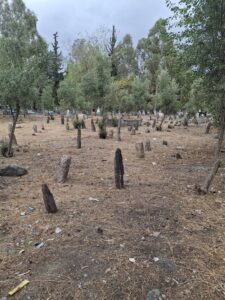 Uzun Mezarlık, Düziçi