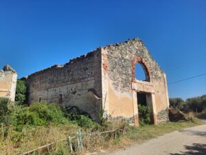 Şaraphane, Paşalimanı Adası