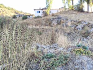 Çat Köyü Ermeni Kilisesi