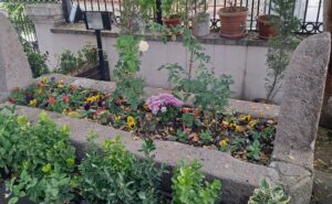 Kabir, Sultan Alaeddin Camii