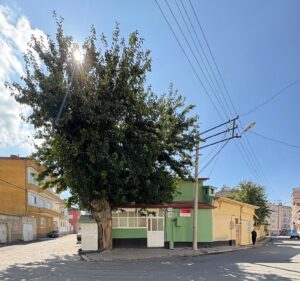 Hacı Durmuş Ağa Camii, Bor