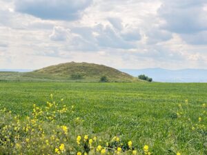 Gubullu Höyük