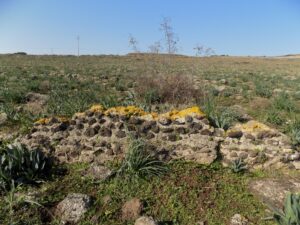 Kurtpınarı Su Yolu