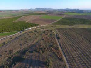 Orta Çağ Türk Mezarlığı