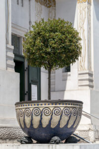 Secession Binası Saksıları