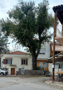 Kesikbaş Türbesi, Gümülcine