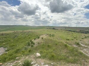 Ballıkuyumcu Höyük