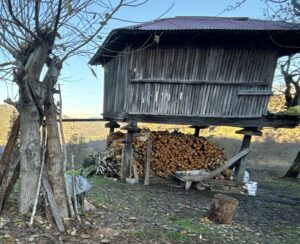 Nuri Şişmanoğlu Evi Serenderi, Fındıklı