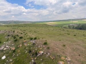 Ballıkuyumcu Höyük