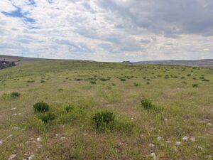 Ballıkuyumcu Höyük