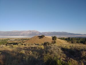 Sarıkavak Höyüğü