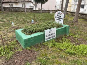 Şeyh Çelebi Kabri