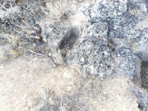 1_çağarşak_üstü