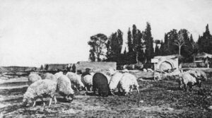 Çeşmenin genel görünümü