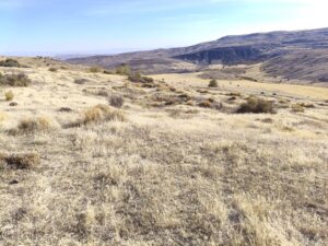 Arpaözü Köyü Sarıkaya Nekropolü