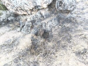 4_çağarşak_üstü