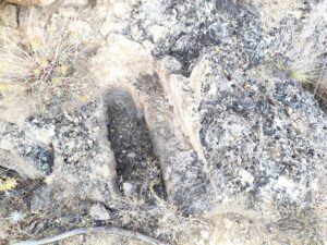 5_çağarşak_üstü