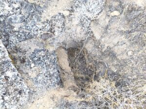 6_çağarşak_üstü