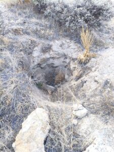 8_çağarşak_üstü