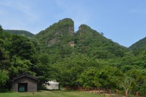 Sado Adası Altın Madeni