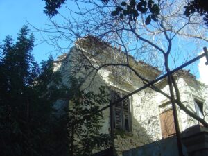 Lapathiotis Evi