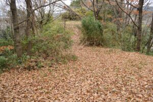 Nishinorikura Tümülüsü