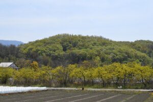 Ōmaruyama Tümülüsü