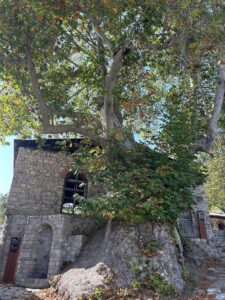 Pir-Cinar-Basqal-2024-14