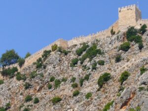 Esad Dede Burcu 9 Esad Dede Burcu