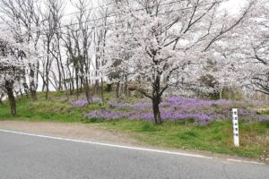 Sōja Atagoyama Tümülüsü