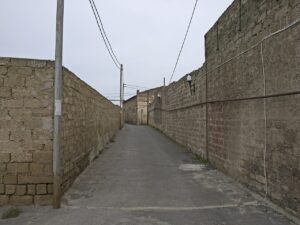 Kale, Gala 5 Kale, Gala