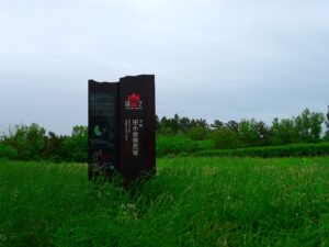 Tagoyano Kabuklu Höyüğü