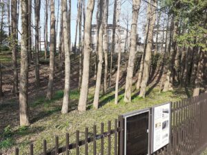 Moro Arkeolojik Sit Alanı