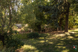 Harput Ulu Camii Haziresi