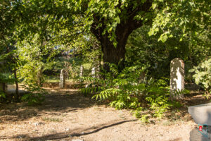 Harput Ulu Camii Haziresi