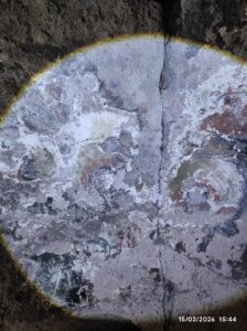 Değirmendere Vadisi Kaya Yerleşimleri, Kaya Kilise 4