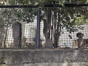 Hazire, Şimal Yıldızı Sokak