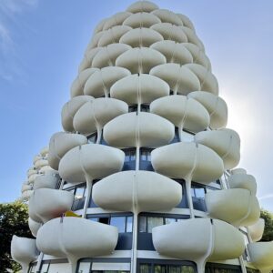 Les Choux de Creteil