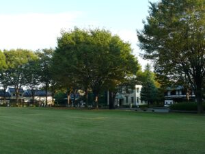 Fuchū Yerel Tarih Müzesi 8 Fuchū Yerel Tarih Müzesi